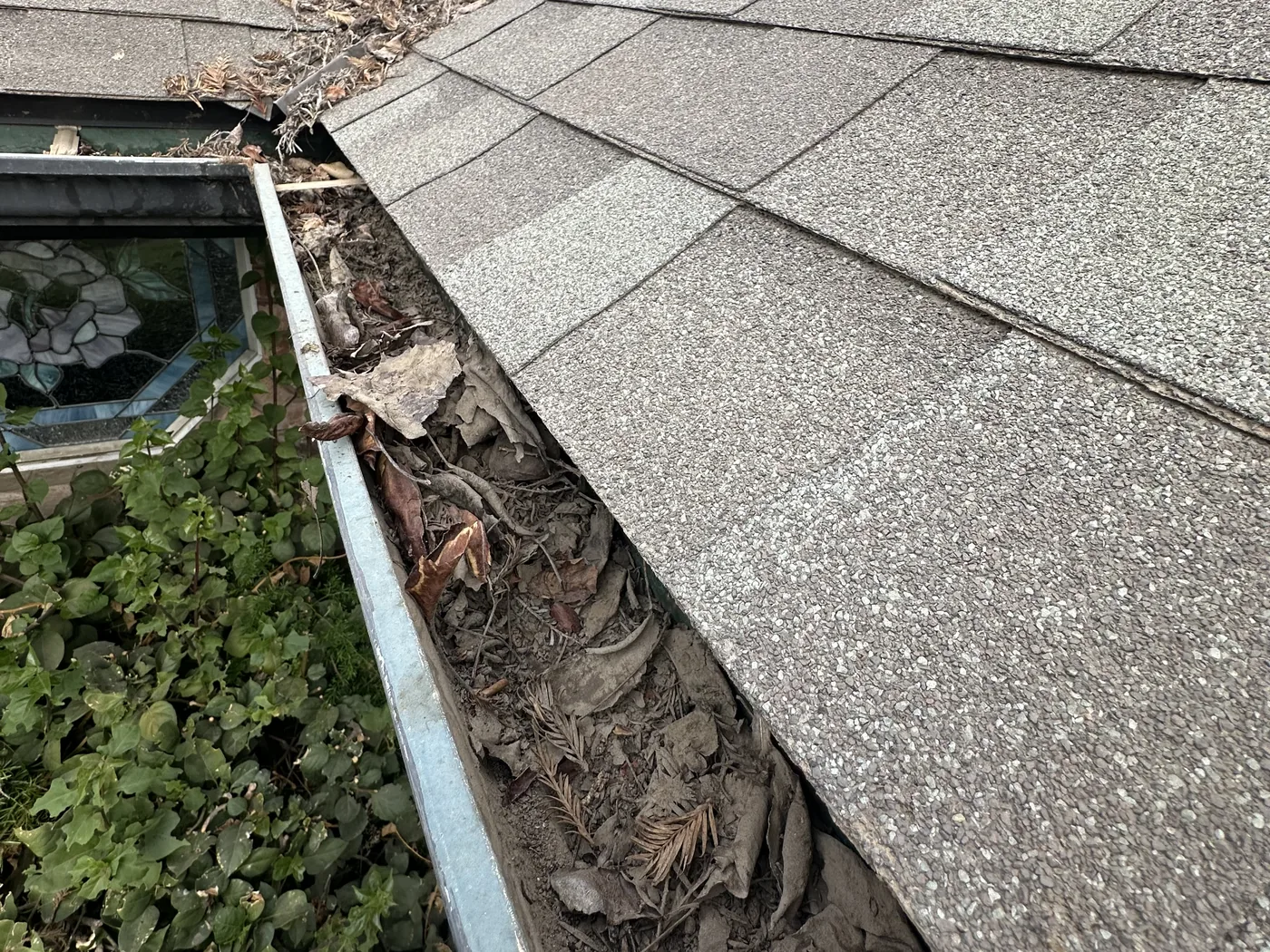 Before: a roof gutter and valley packed with leaves and needles
